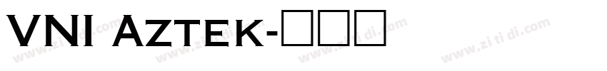 VNI Aztek字体转换